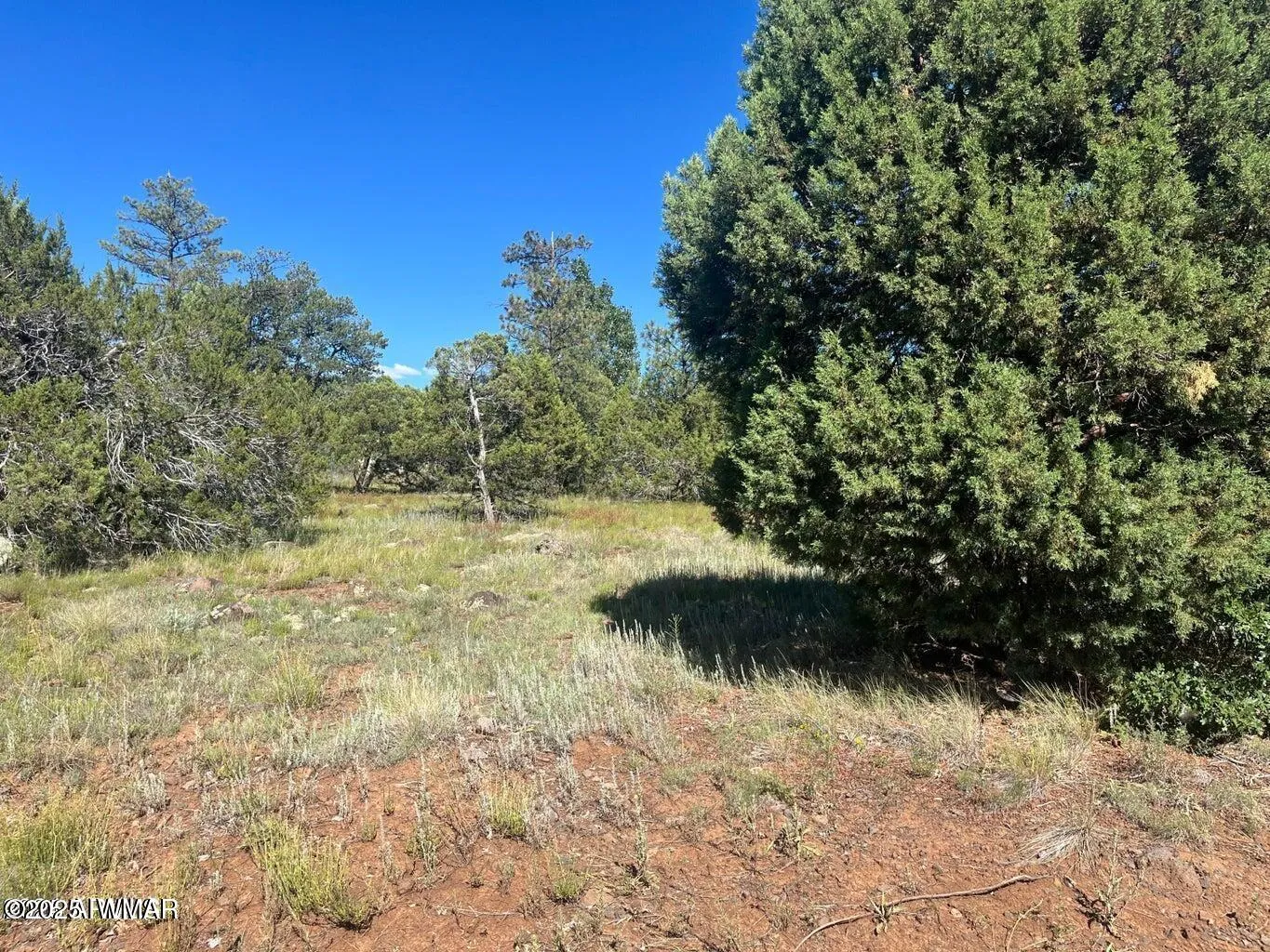 5020 Bison Trail, Lakeside, AZ 85929 — Photo 1 of 5