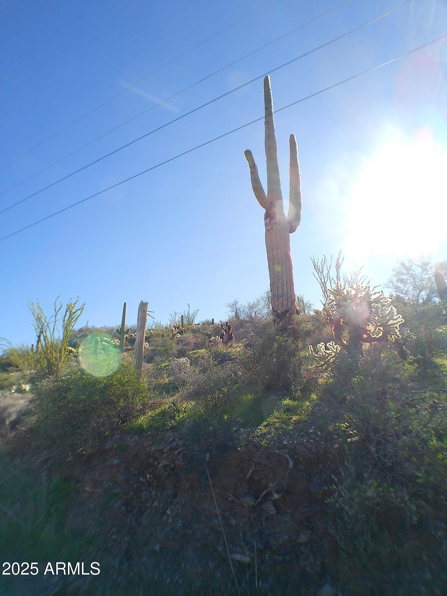 Thumbnail 11