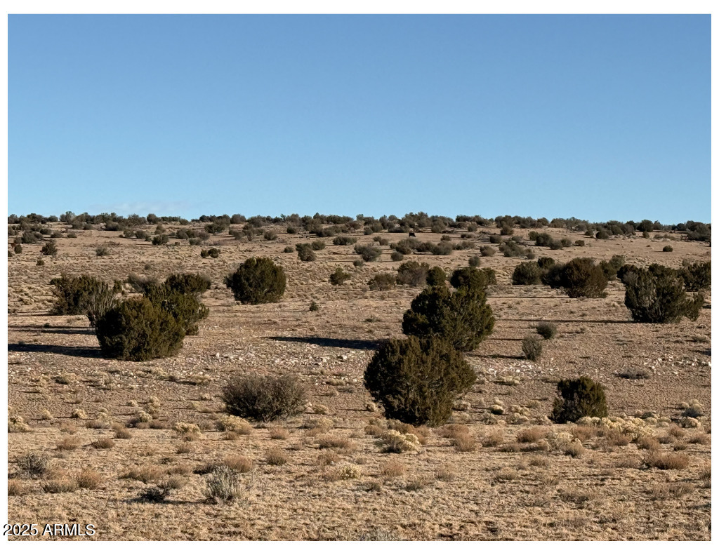 10381 High Butte Drive -, Williams, AZ 86046 — Photo 1 of 4