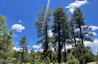 4453 NAVAJO Drive 358, Happy Jack, AZ 86024