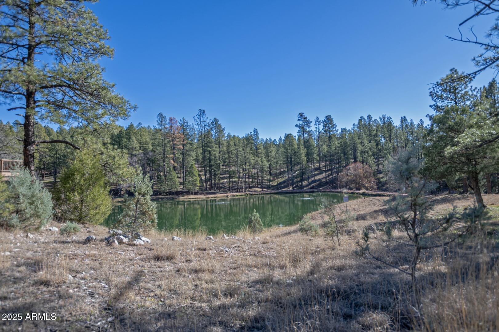 144 HUNTER CREEK Drive 144, Payson, AZ 85541 — Photo 1 of 24
