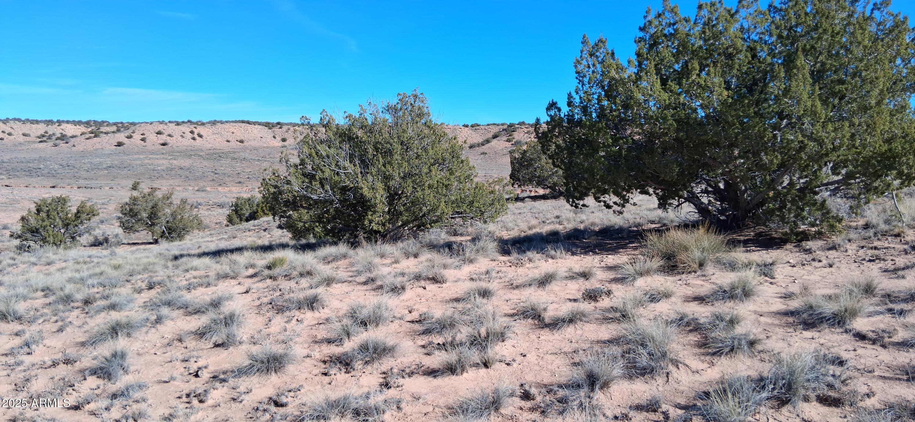 3.02 Acres Unnamed Road 457, Sanders, AZ 86512 — Photo 1 of 20