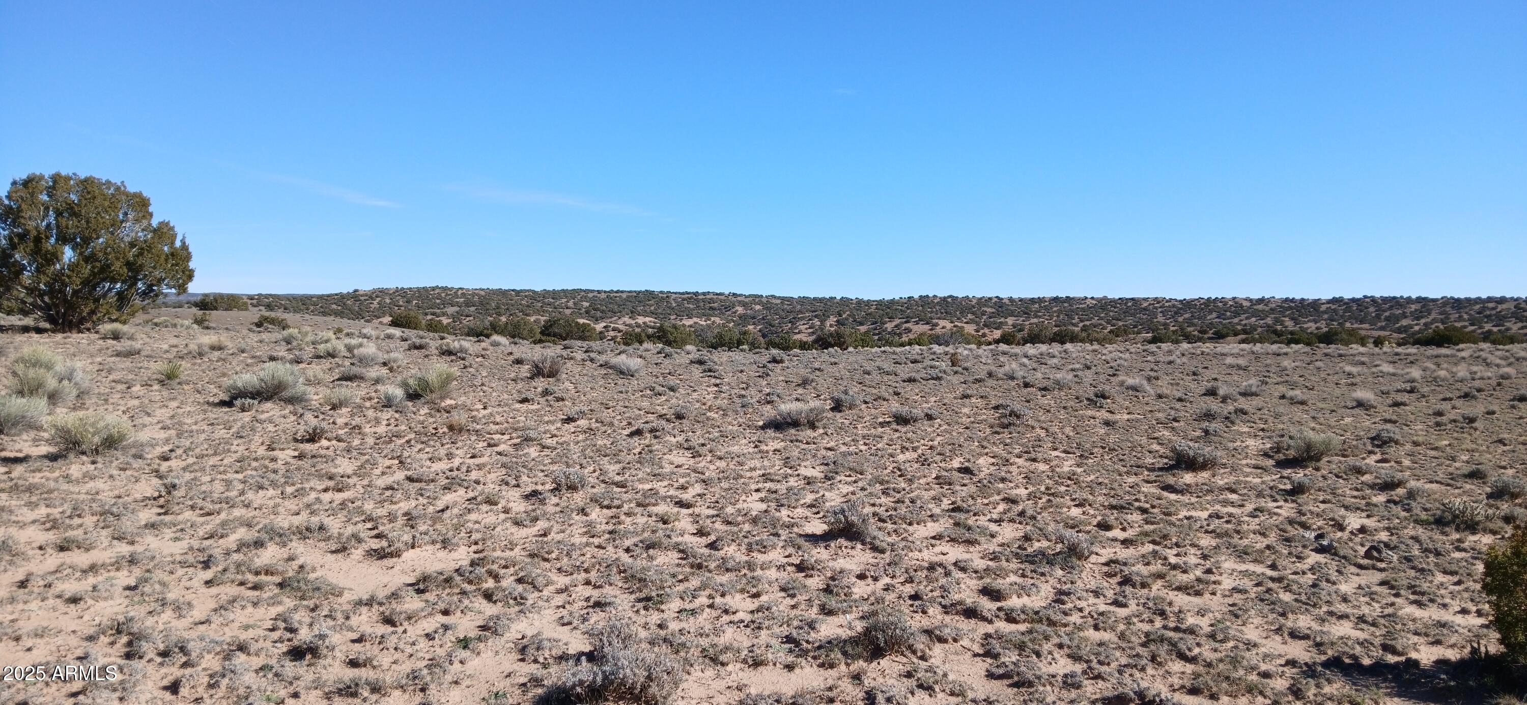 1.06 Acre Blackfoot Trail 72, Sanders, AZ 86512 — Photo 1 of 17