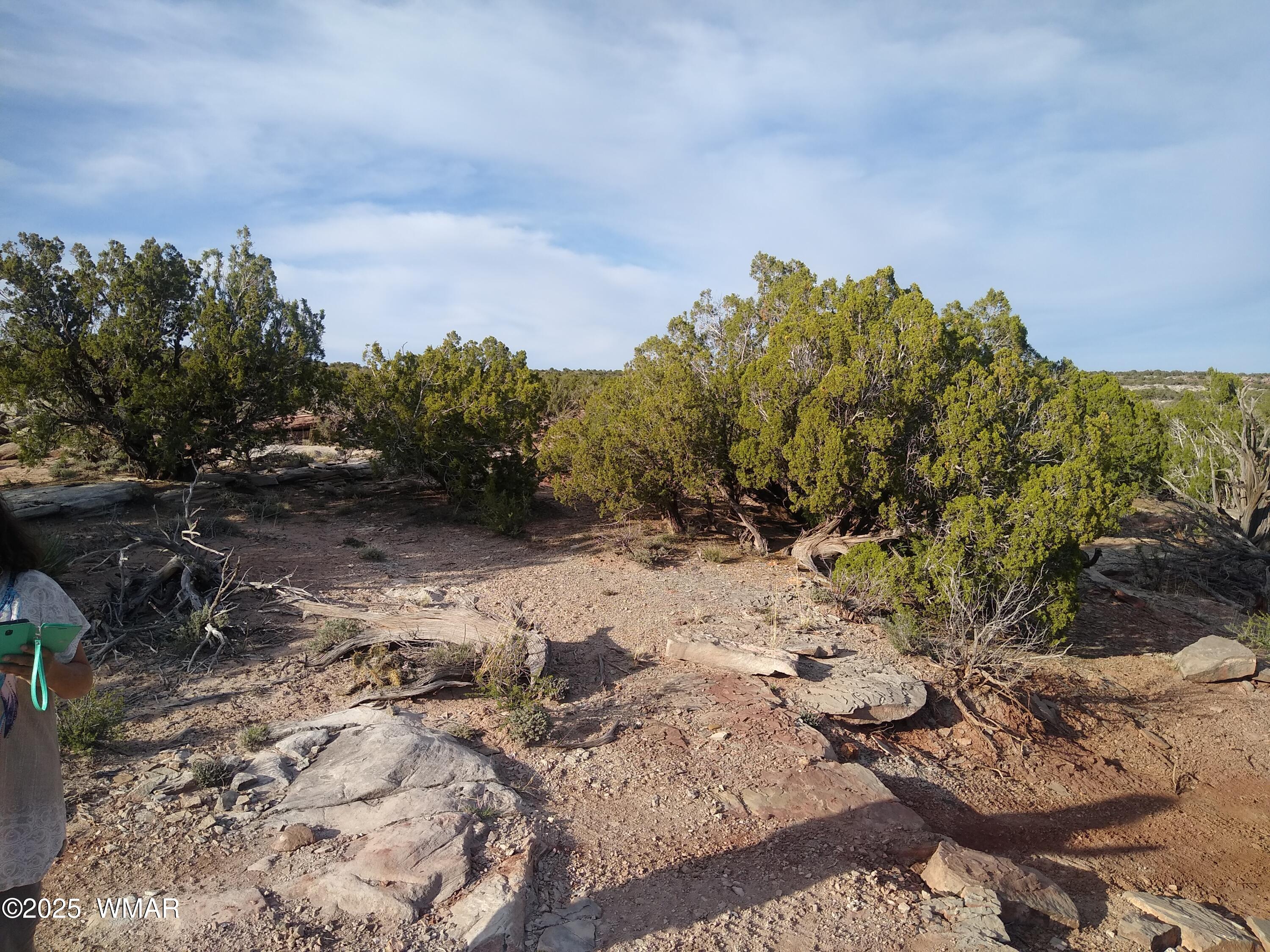 8938 Buffalo Ridge Lane, White Mountain Lake, AZ 85912