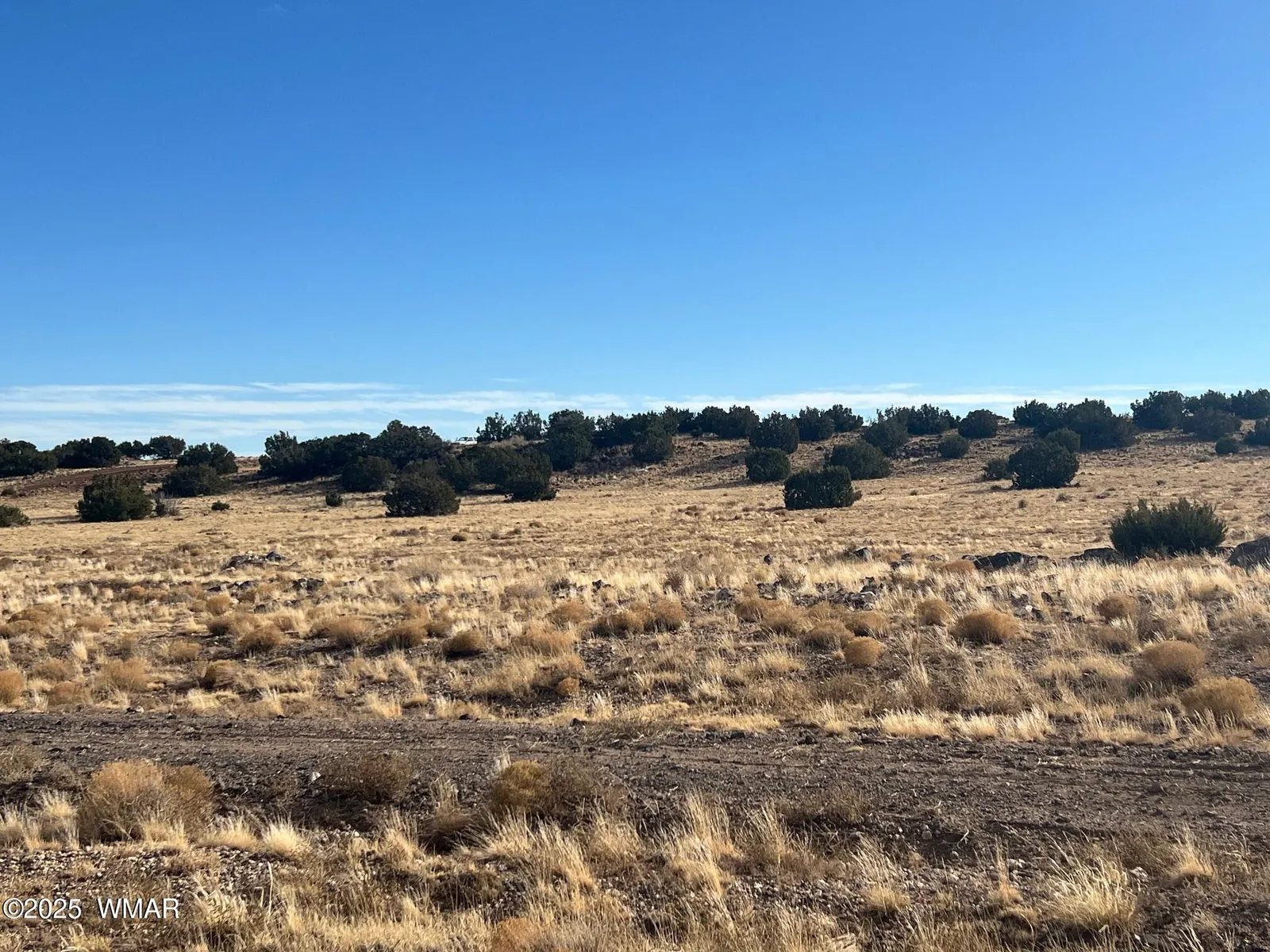 000 CR5139, Concho, AZ 85924 — Photo 1 of 10