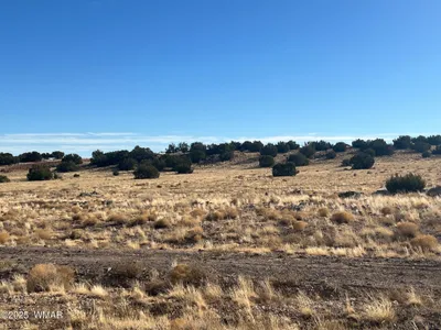 000 CR5139, Concho, AZ 85924