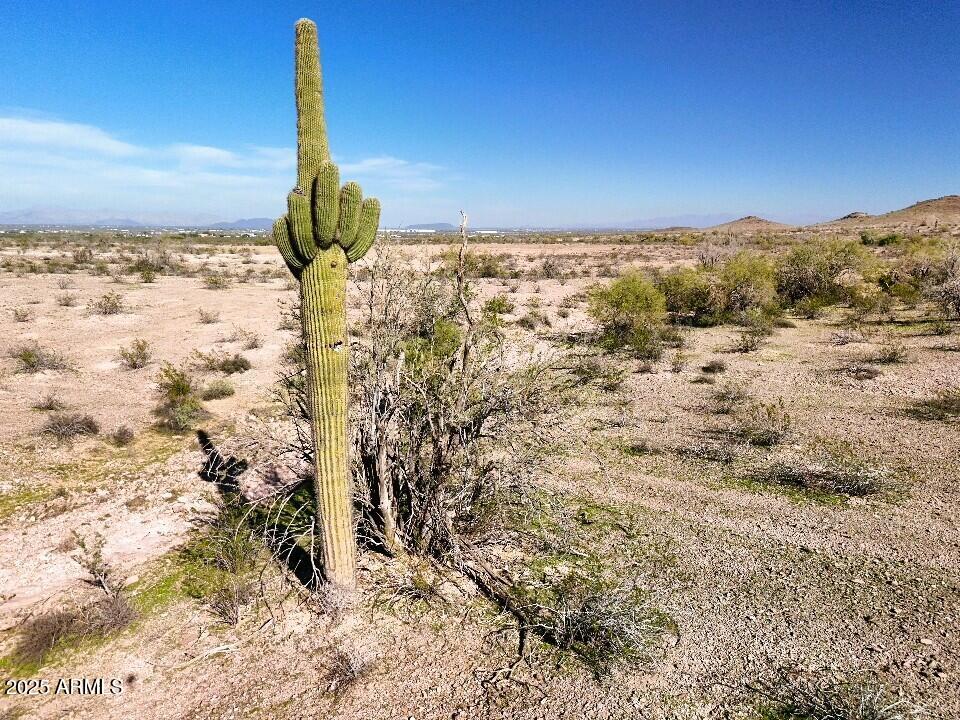 Thumbnail 18
