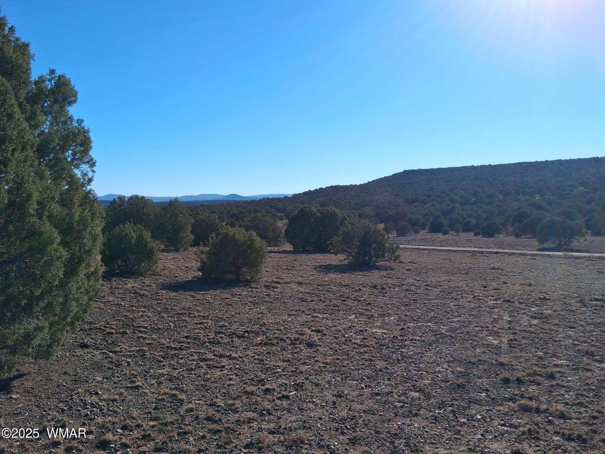 5 N8715, SE, Concho, AZ 85924 — Photo 1 of 14