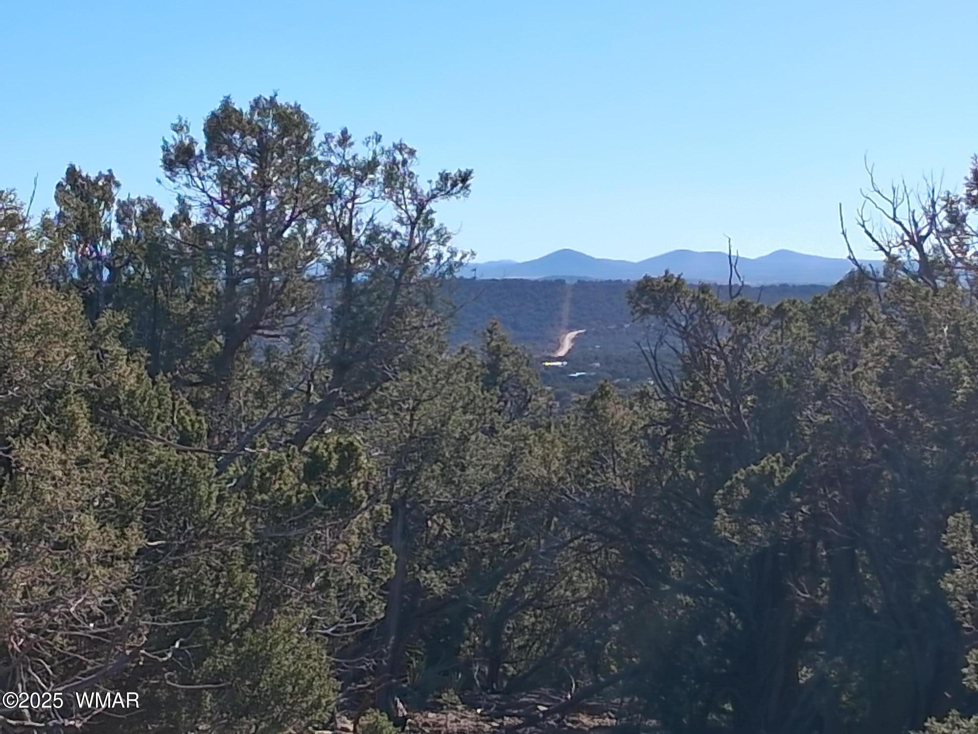 TBD 201-32-006, Concho, AZ 85924