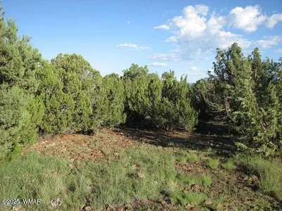 Sec 29 T14N, R17E: Parcel 6, Chevelon Retreat, Heber, AZ 85928