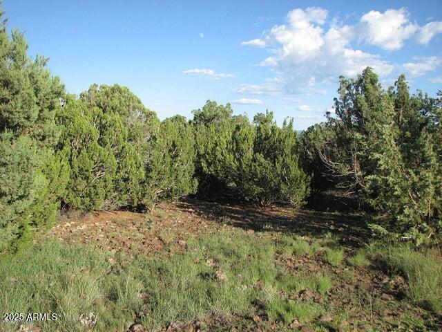 Sec 29 T14N, R17E: parcel 6 '''-''', Heber, AZ 85928 — Photo 1 of 14