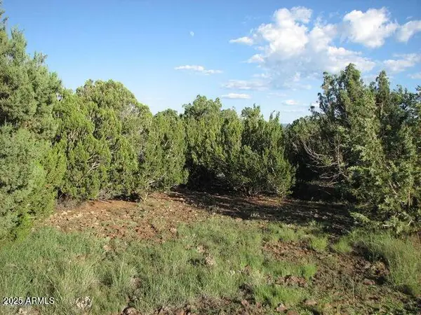 Sec 29 T14N, R17E: parcel 6 '''-''', Heber, AZ 85928