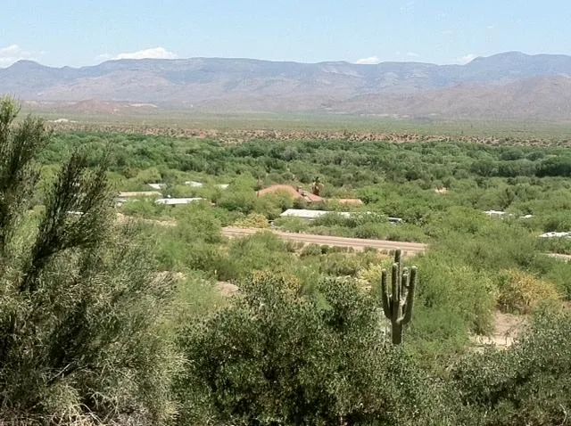67 Saguaro Road, Tonto Basin, AZ 85553 — Photo 1 of 8