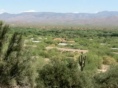 67 Saguaro Road, Tonto Basin, AZ 85553