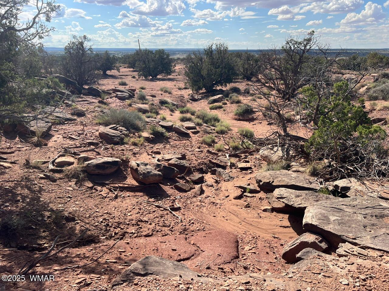 51 N9087, Concho, AZ 85924 — Photo 1 of 14
