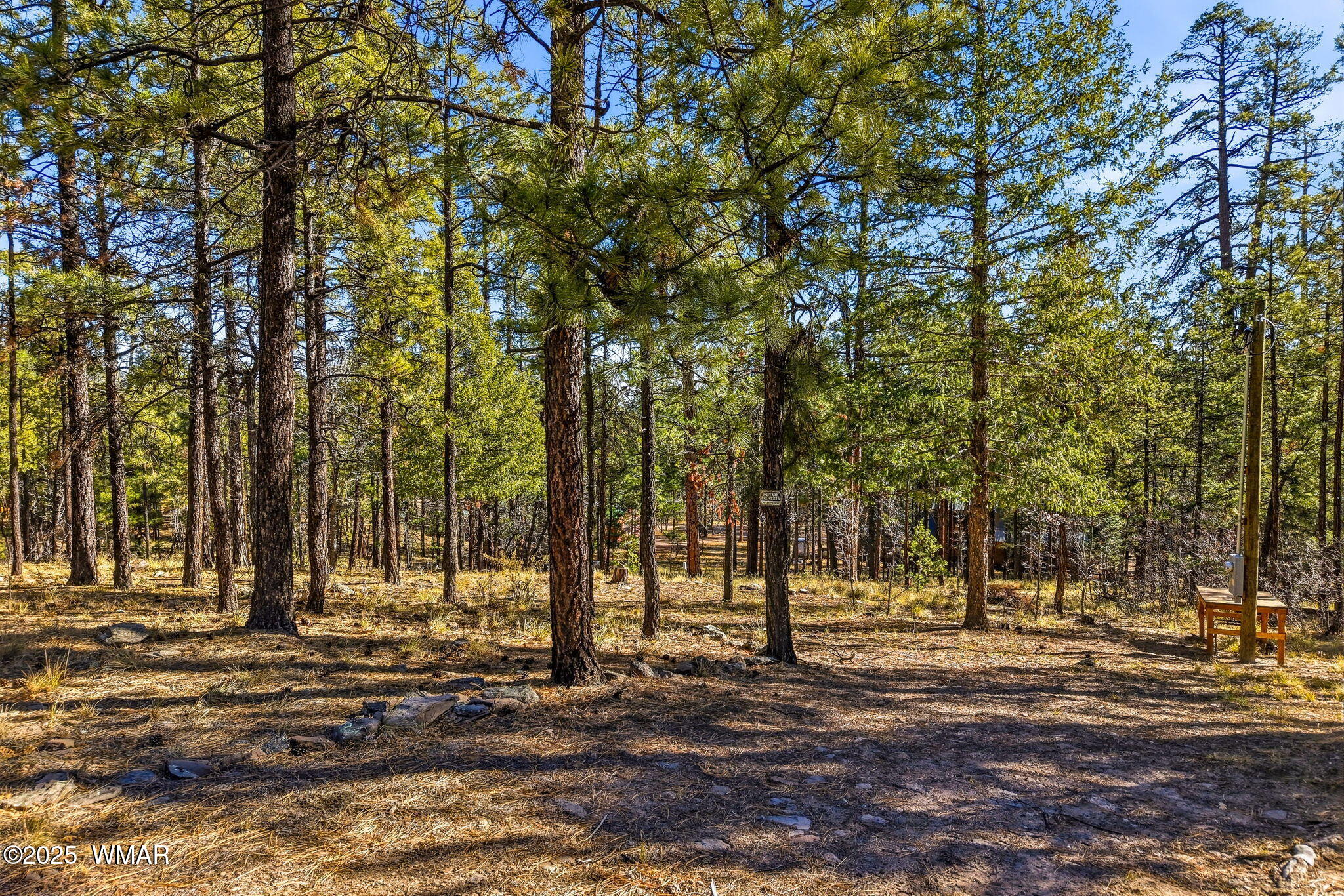 20 Co Rd 2067, Alpine, AZ 85920 — Photo 1 of 15