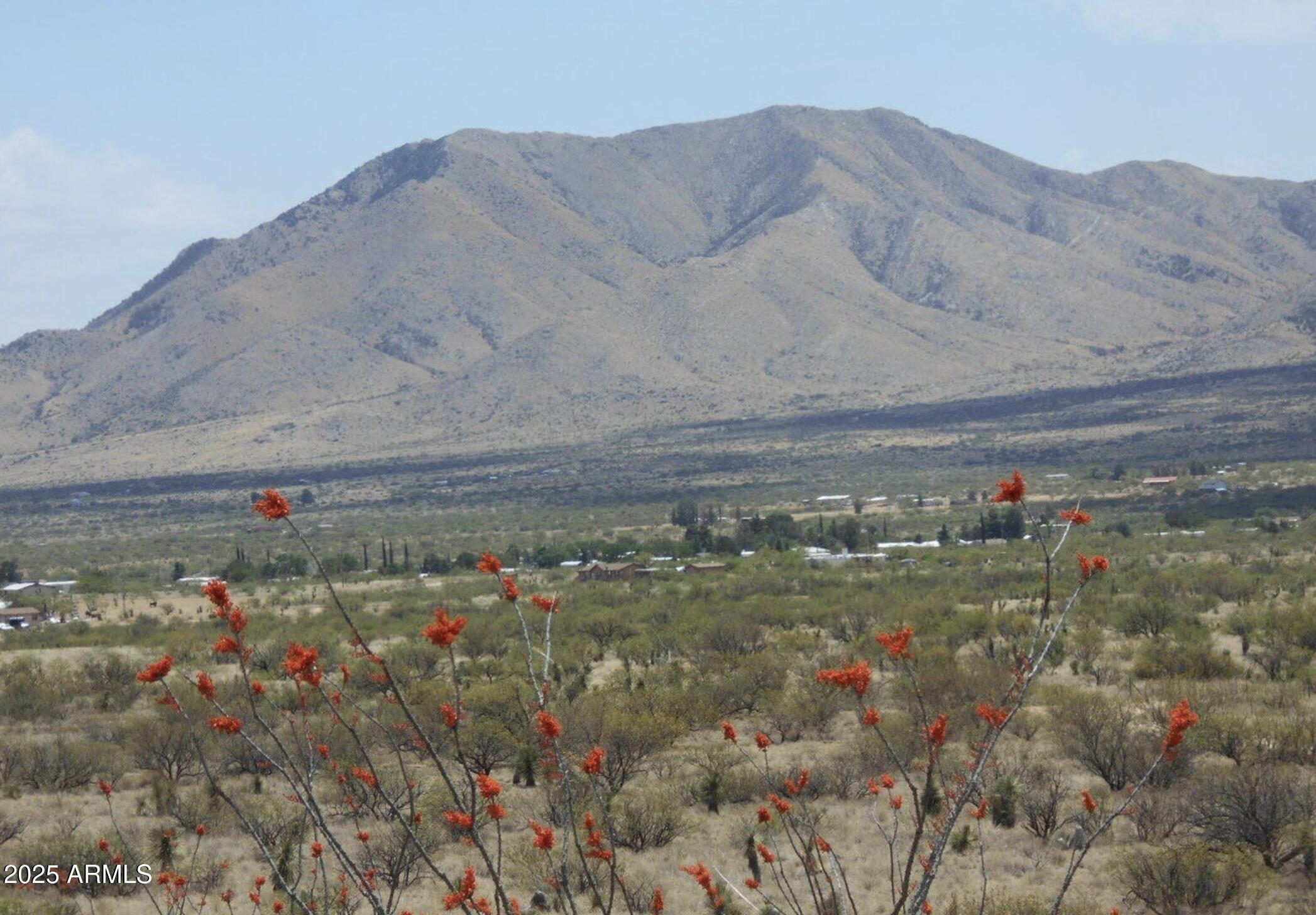 TBD E Little Wing Road 6, Dragoon, AZ 85609 — Photo 1 of 10