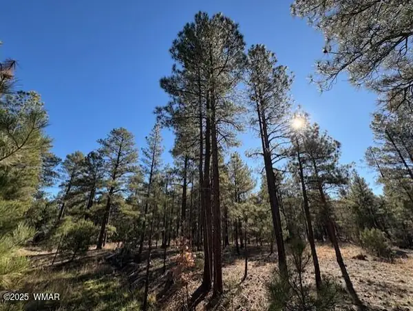 3270 W Black Oak Loop, Lot 29, Show Low, AZ 85901