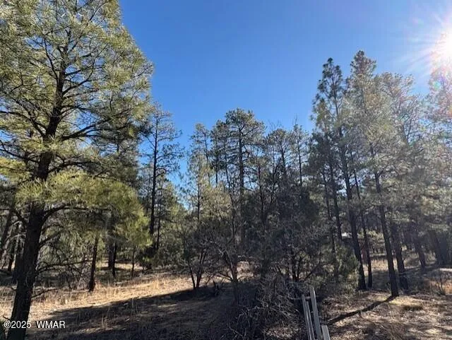 3290 W Black Oak Loop, Lot 31, Show Low, AZ 85901 — Photo 1 of 5