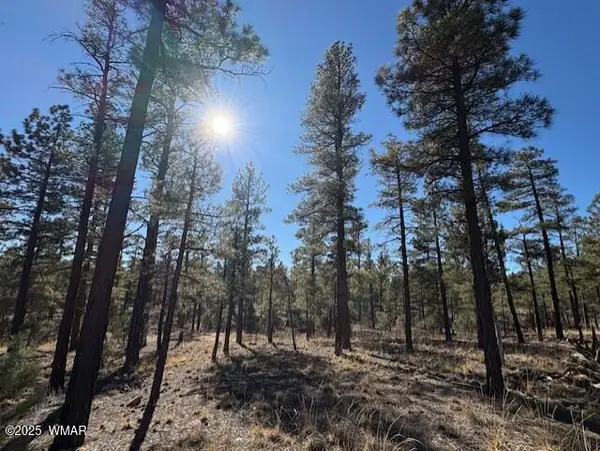 3461 W Black Oak Loop, Lot 66, Show Low, AZ 85901