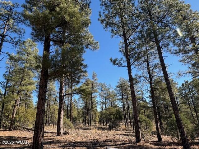 3071 W Black Oak Loop, Lot 73, Show Low, AZ 85901