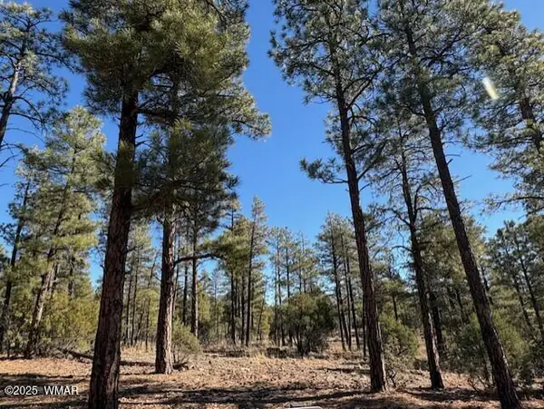 3071 W Black Oak Loop, Lot 73, Show Low, AZ 85901