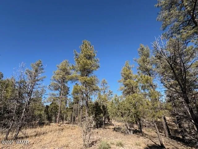 3211 W Black Oak Loop, Lot 83, Show Low, AZ 85901 — Photo 1 of 5