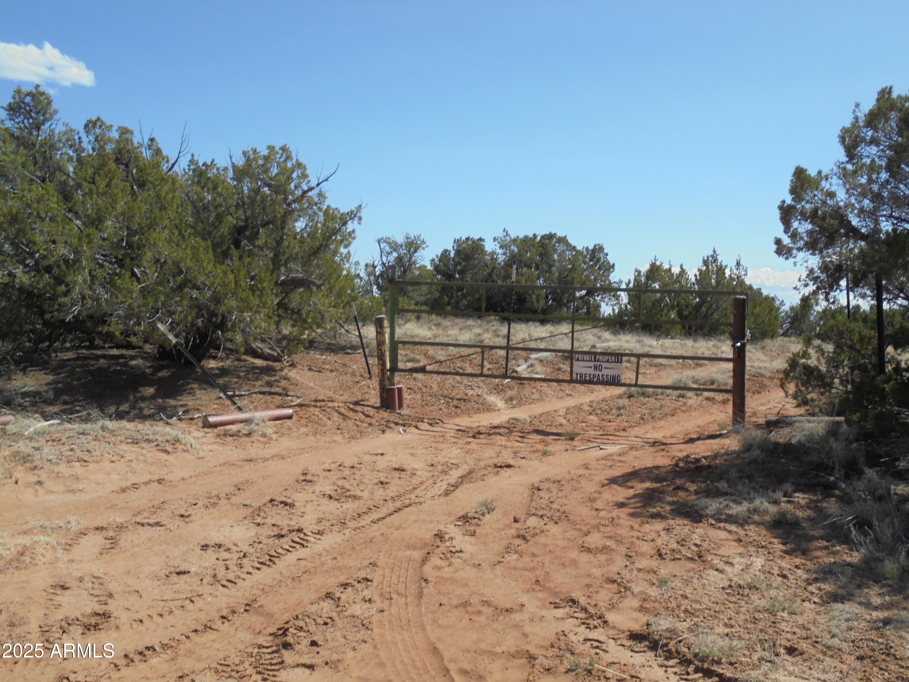 568 County Road N7407 -, St Johns, AZ 85936 — Photo 1 of 11