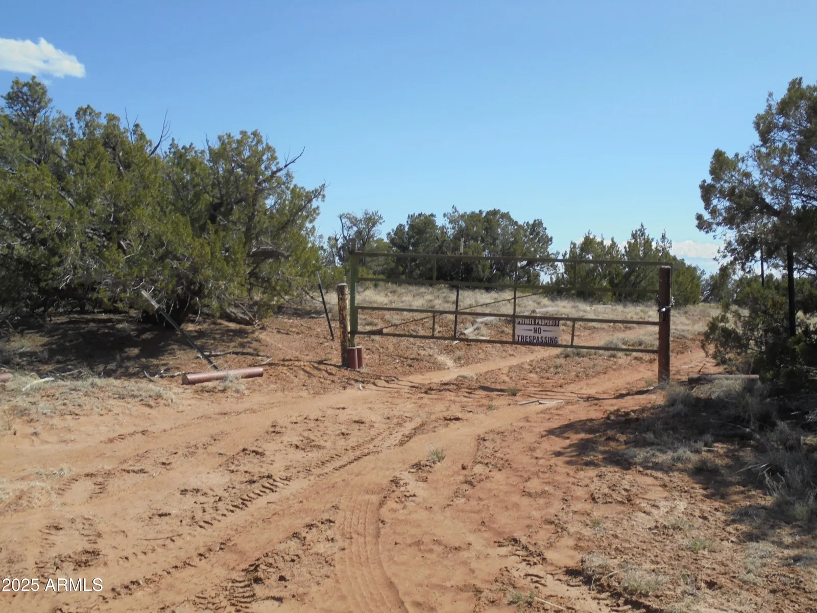 568 County Road N7407 -, St Johns, AZ 85936 — Photo 1 of 11