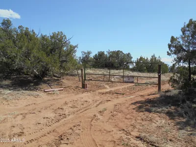 568 County Road N7407 -, St Johns, AZ 85936