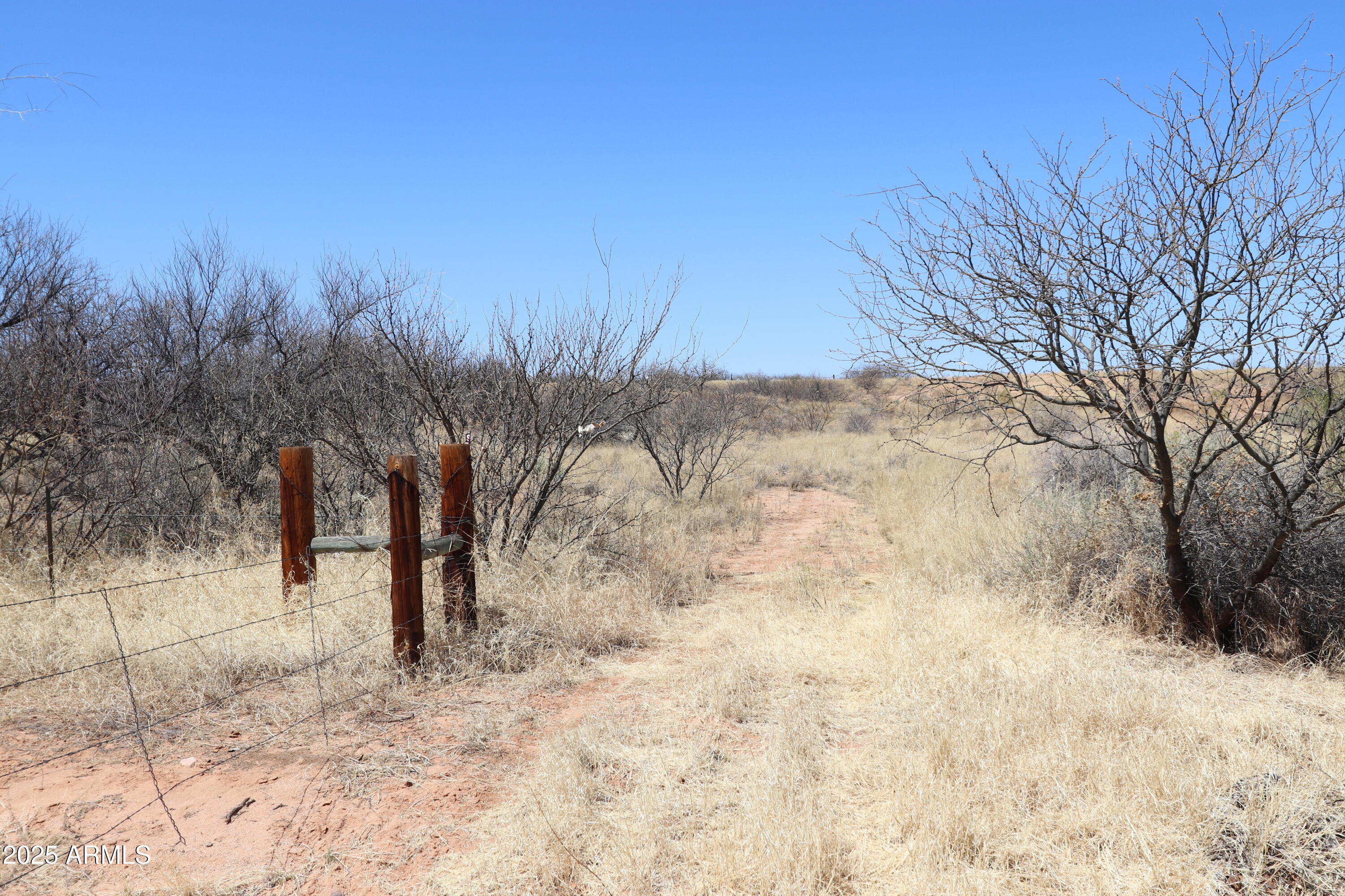 TBD N Wildcat Place -, Benson, AZ 85602 — Photo 1 of 13