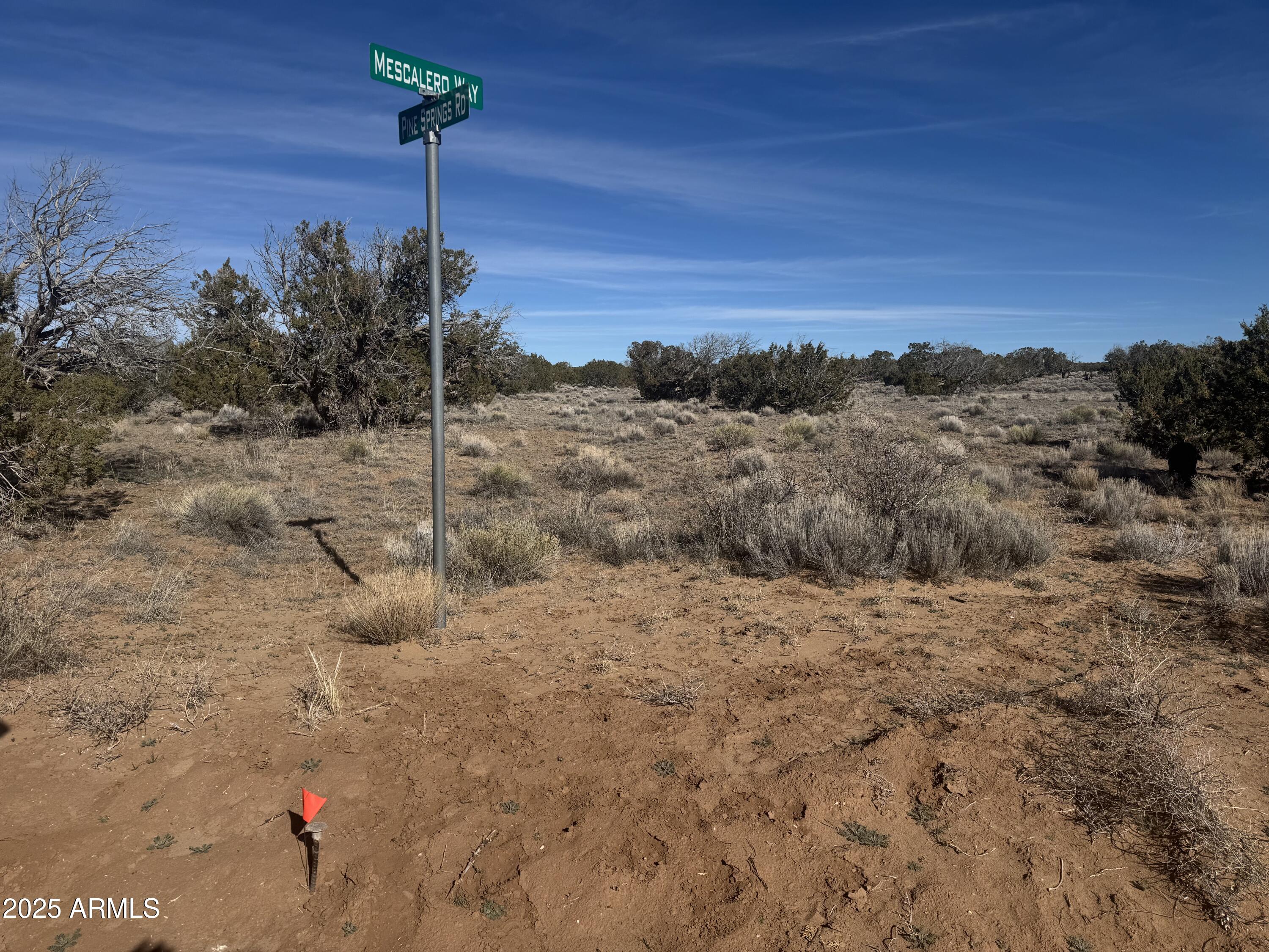 Lot 98 Woodland Valley Ranch 98, St Johns, AZ 85936 — Photo 1 of 9
