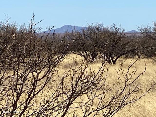 TBD S Calle Mia Road '-', Hereford, AZ 85615 — Photo 1 of 6