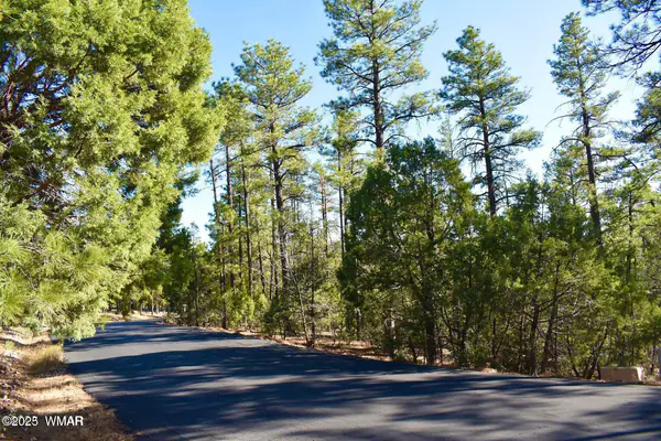 1061 Hillside Drive, Show Low, AZ 85901