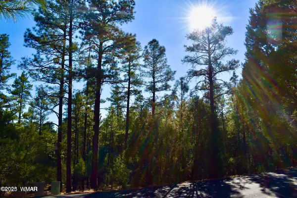 1091 Hillside Drive, Show Low, AZ 85901