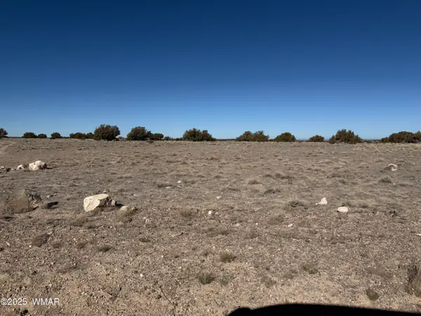 0 TBD 203-67-011, St. Johns, AZ 85936