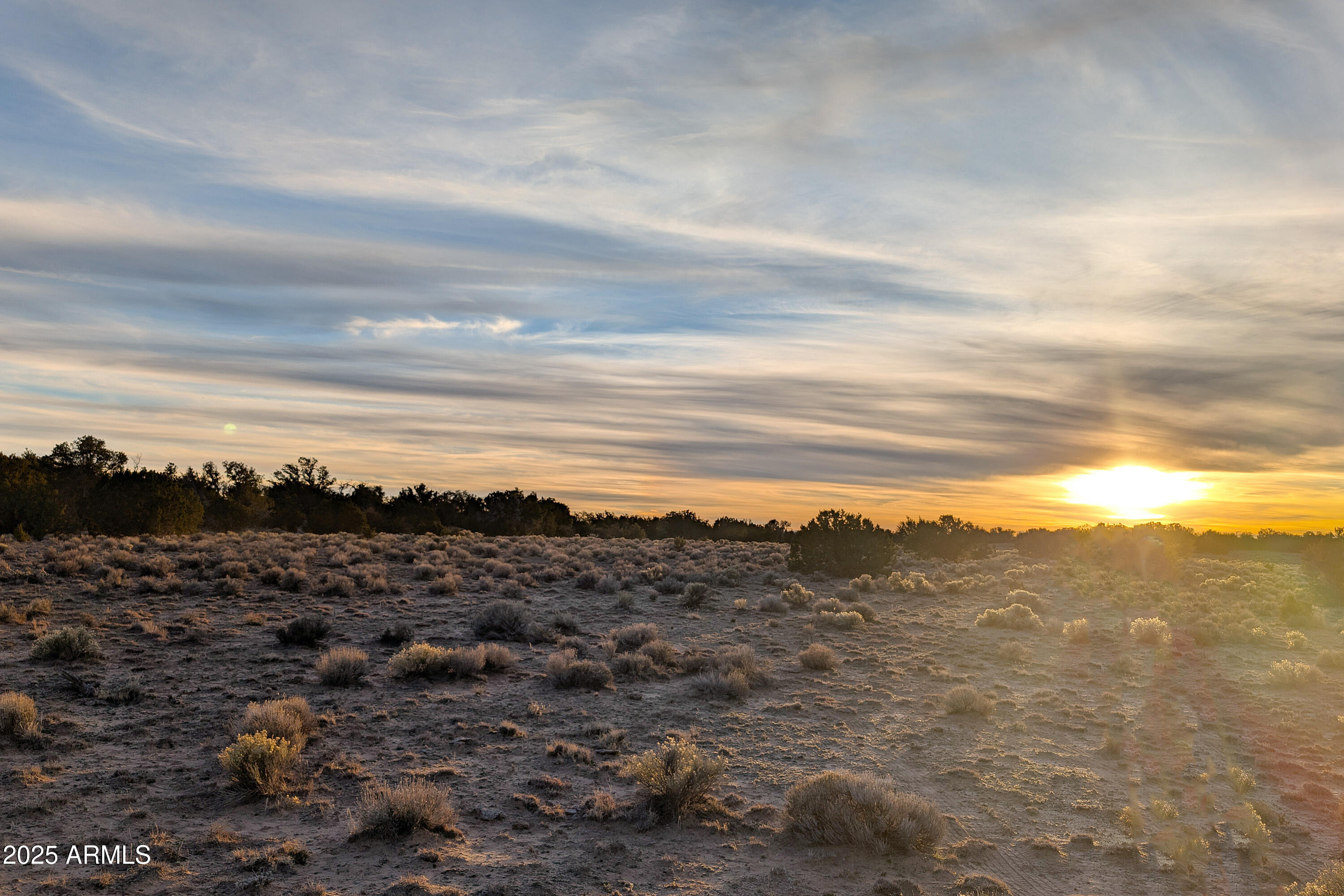 Lot 78 Witch Well Ranches 78, St Johns, AZ 85936 — Photo 1 of 12