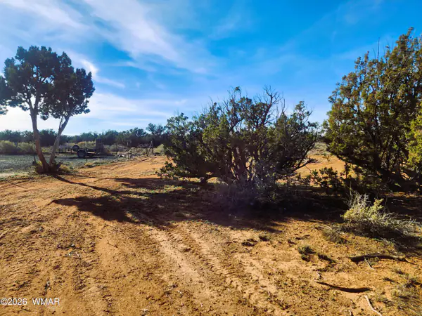 4726 Hay Hollow Road, Snowflake, AZ 85937