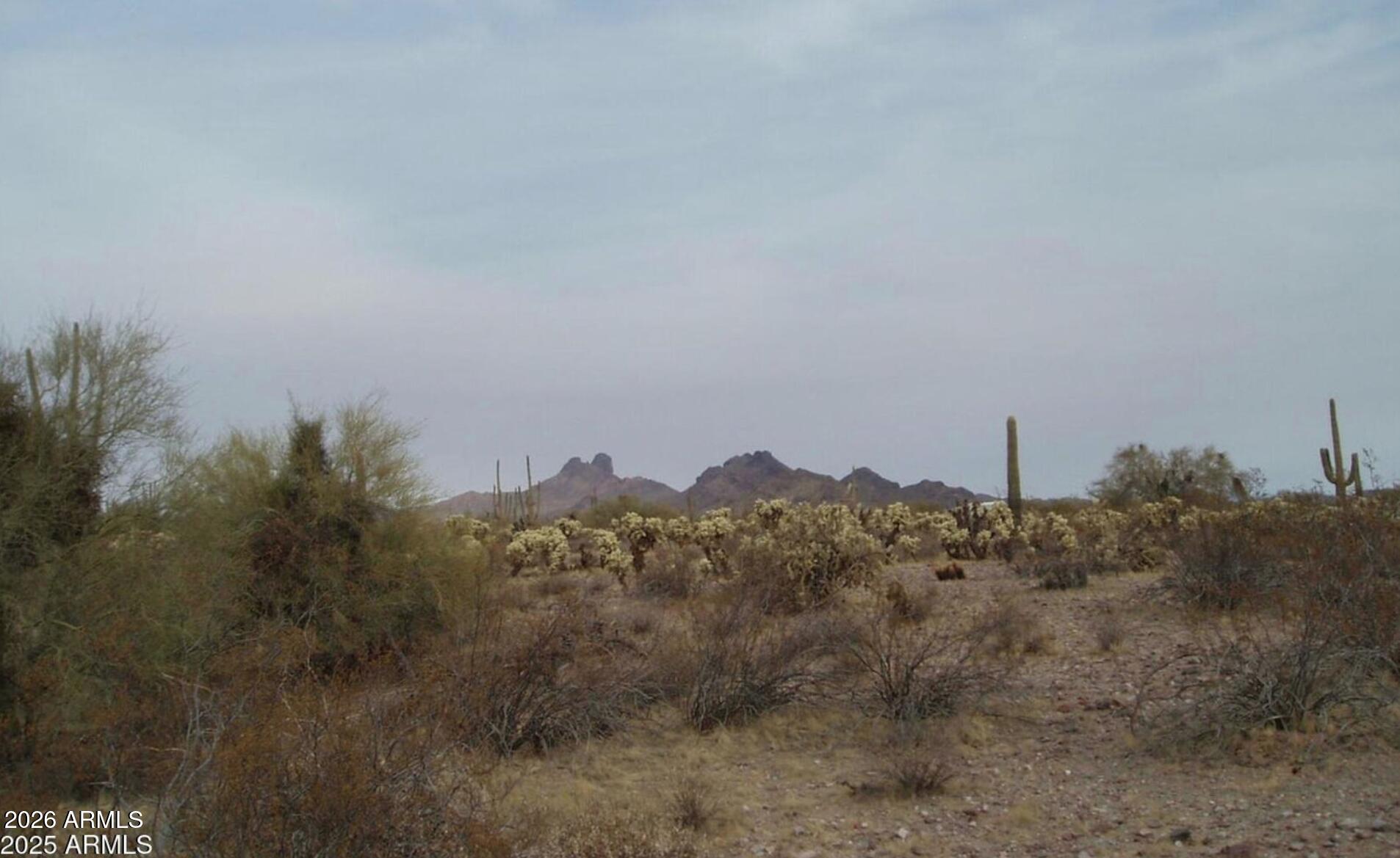 307000 N 315th Avenue 162 3, Wittmann, AZ 85361 — Photo 1 of 2