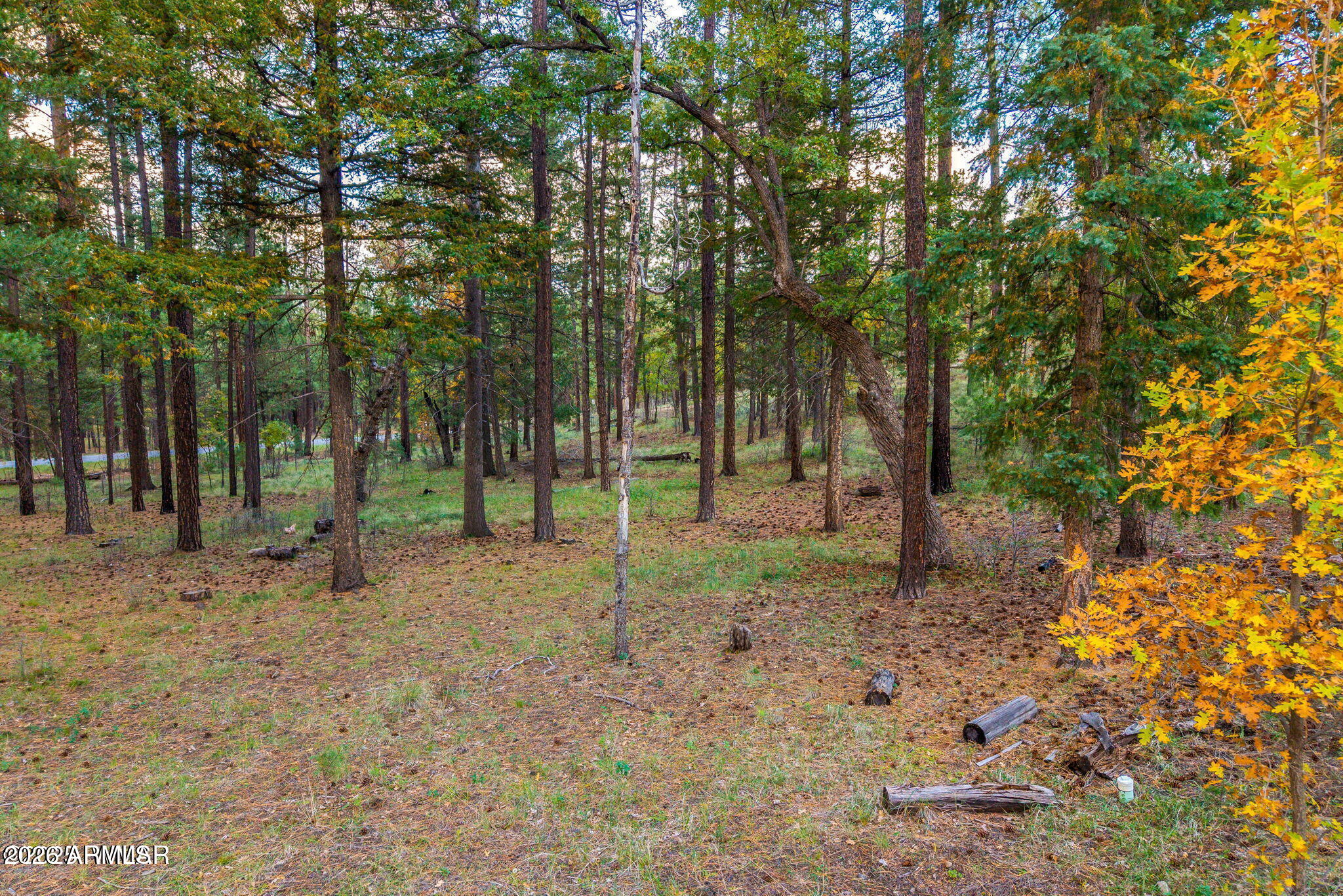 000 County Road 2196 74A, Alpine, AZ 85920 — Photo 1 of 16