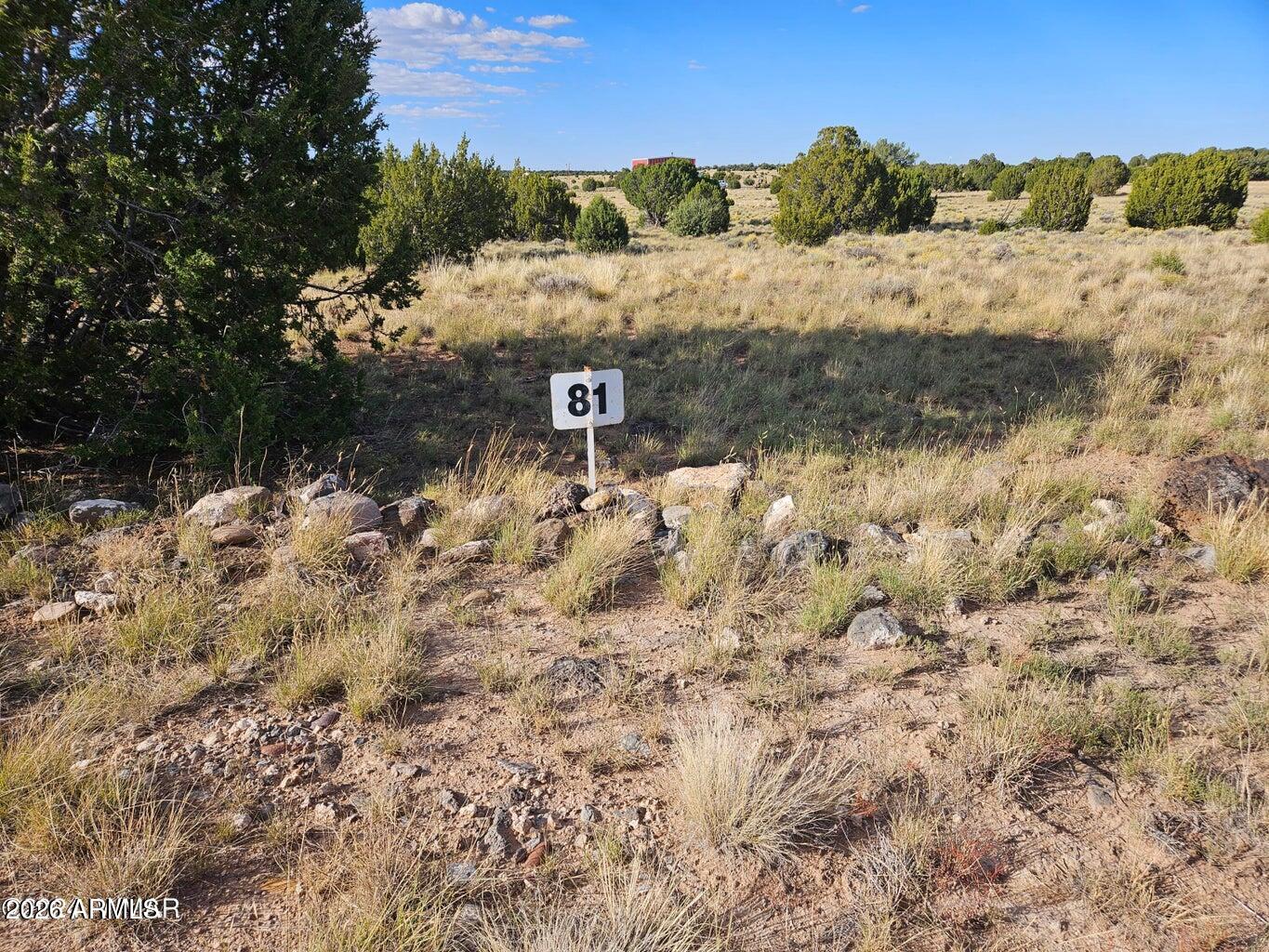 TBD ACR 8620 Lot 81 81, Concho, AZ 85924 — Photo 1 of 12