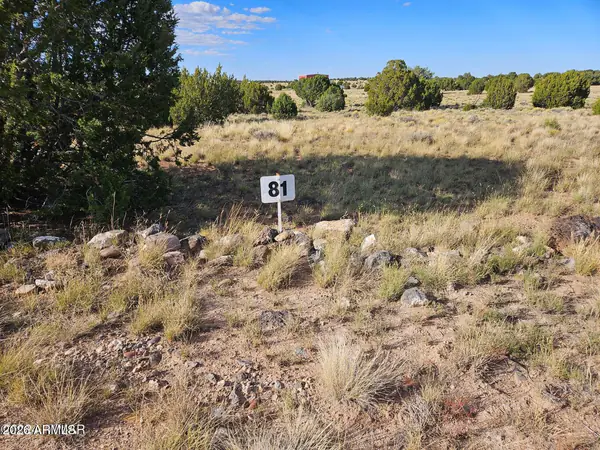 TBD ACR 8620 Lot 81 81, Concho, AZ 85924