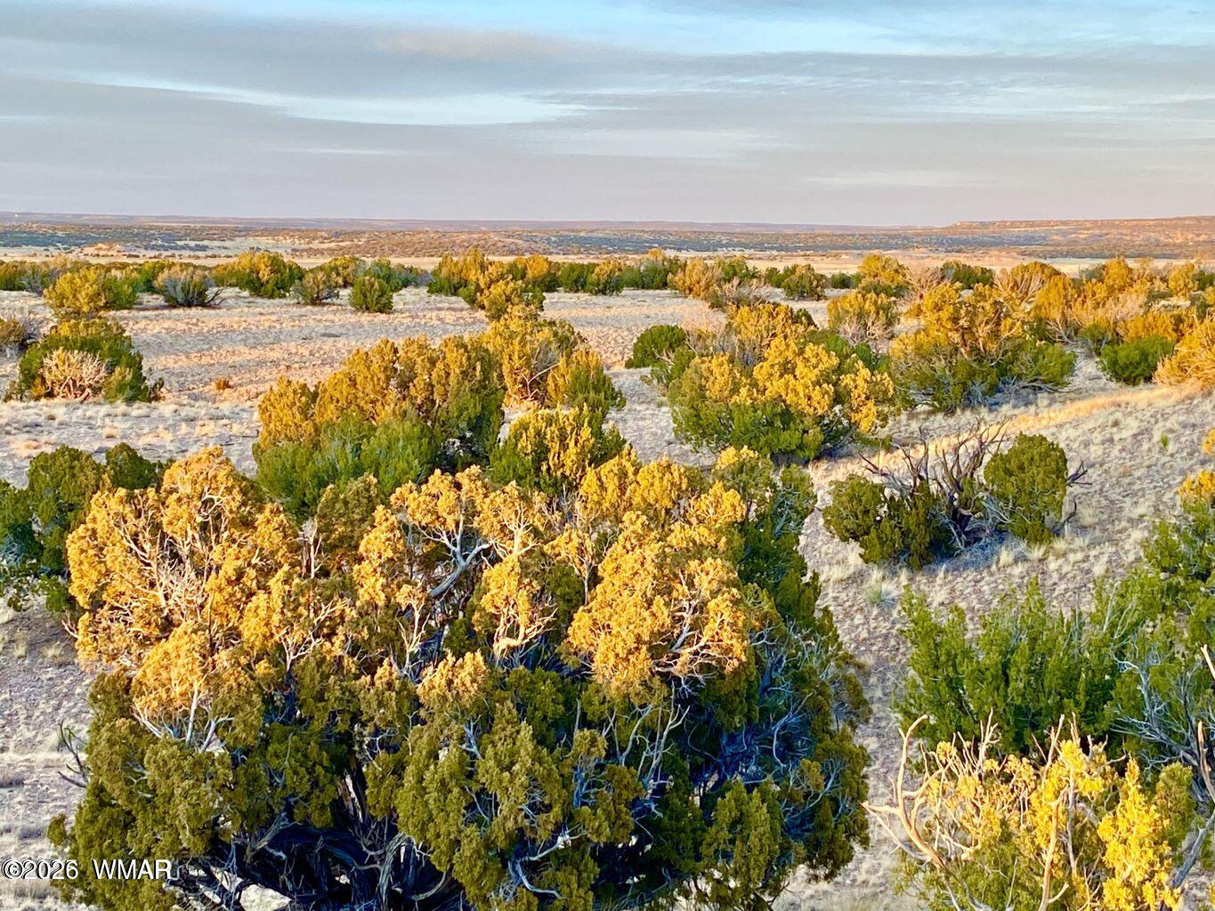 TBD Co Rd N6659 36.25 Acres, St. Johns, AZ 85936 — Photo 1 of 25