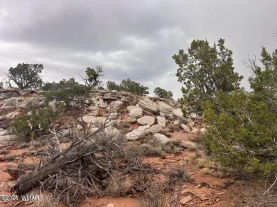 9133 Ridge View Lane, Snowflake, AZ 85937