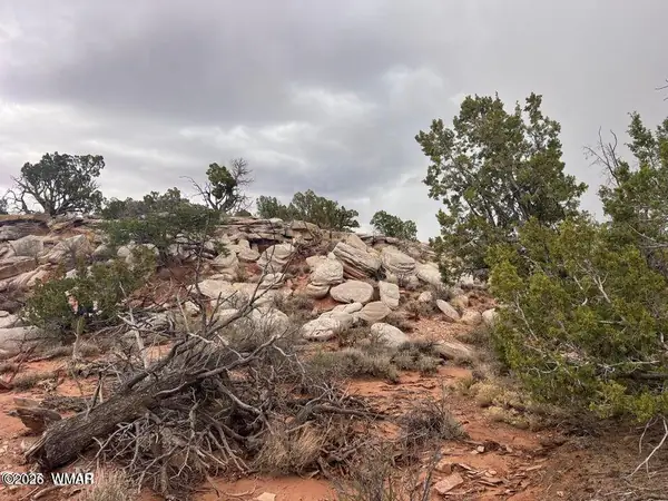 9133 Ridge View Lane, Snowflake, AZ 85937