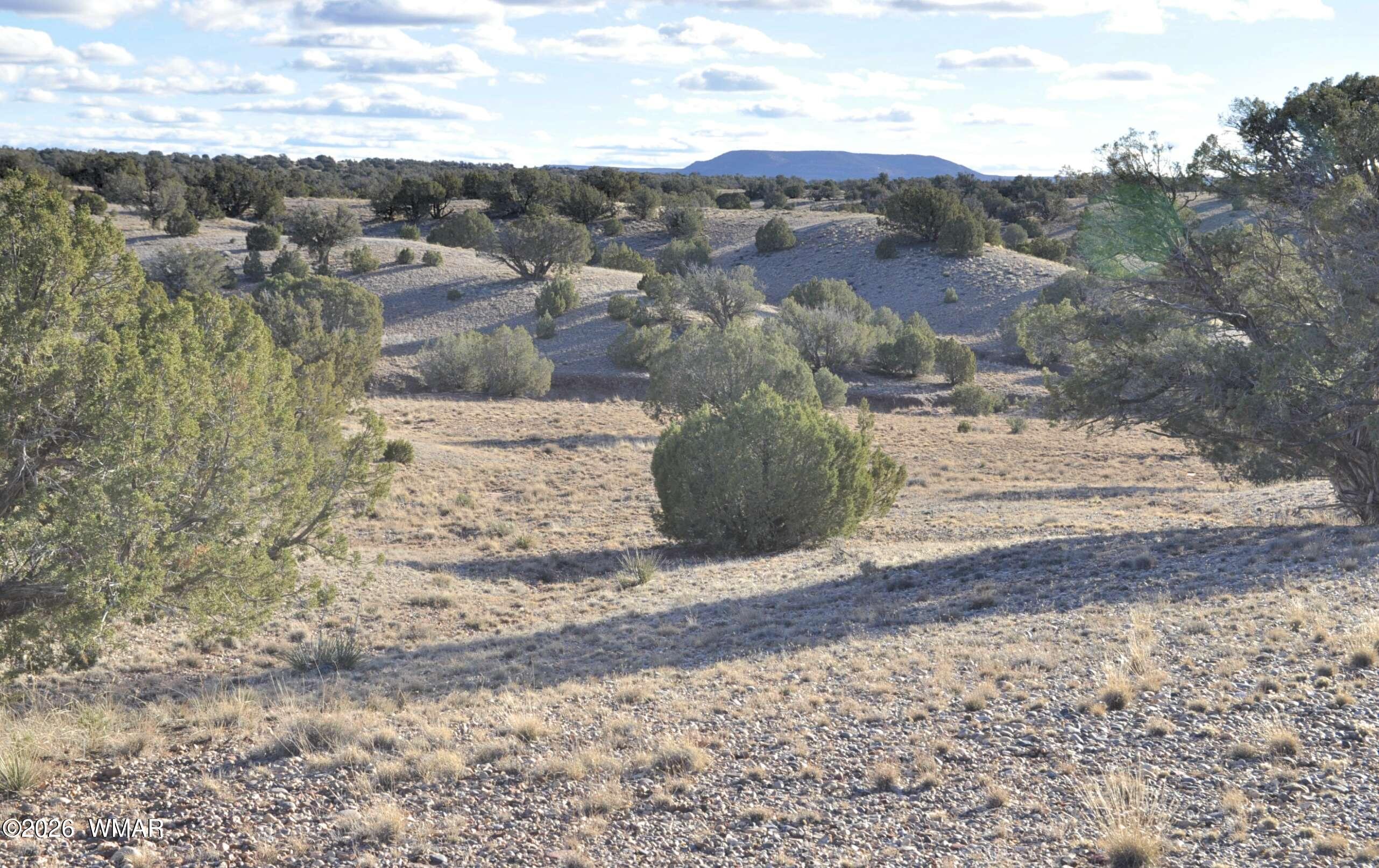 691 CR 5270, Concho, AZ 85924 — Photo 1 of 39