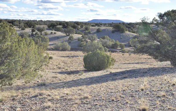 691 CR 5270, Concho, AZ 85924