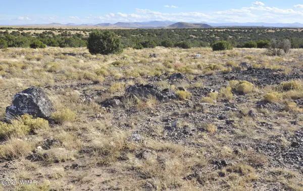 8Z Concho Creek Dr, Concho, AZ 85924
