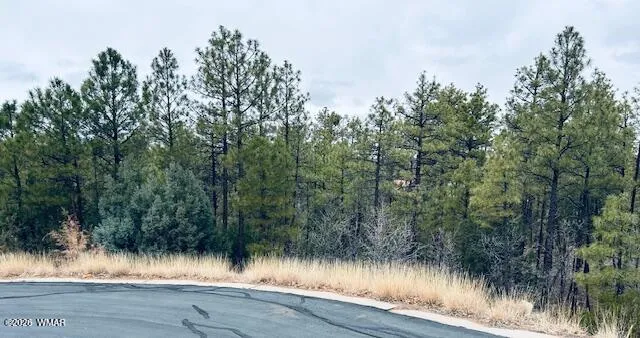1790 W Snow Creek Trail, Show Low, AZ 85901 — Photo 1 of 4