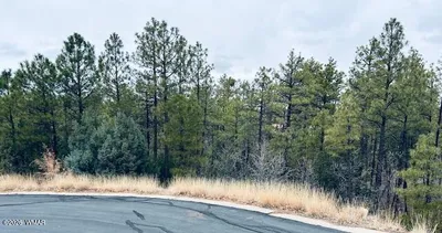 1790 W Snow Creek Trail, Show Low, AZ 85901